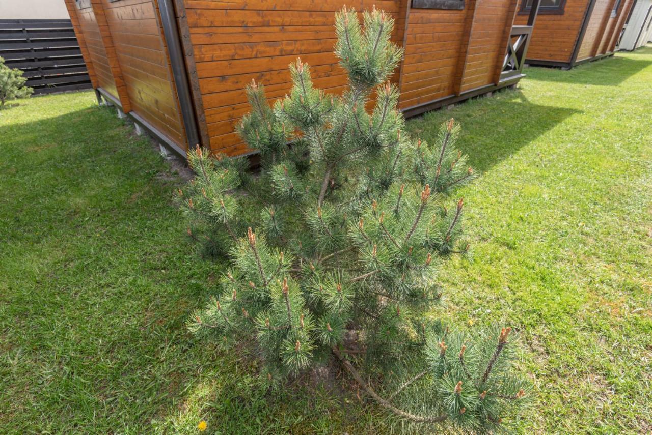 Šventoji Vasarnamiaiヴィラ エクステリア 写真
